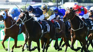 EAGLE FARM PREVIEW